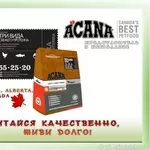 Сухие корма  Acana и Oridjen