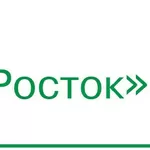 Продаем овощи ООО С-Росток