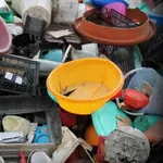 Куплю дорого паллеты полиэтиленовые и полипропиленовые