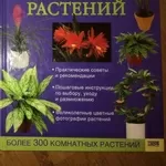 Книга:Новейшая энциклопедия комнатных растений Дэвид Сквайр 