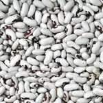 Продаж сортової квасолі оптом