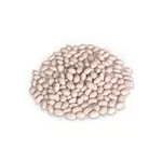 Насіння квасолі з гарантією викупу врожаю