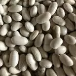 Куплю квасолю великий,  мелкий опт.