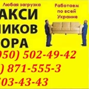 грузовые Перевозки Кирпич в николаеве. перевозка Кирпича николаев