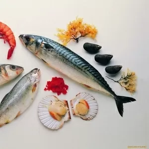 Продам рыбу и морепродукты оптом и в розницу