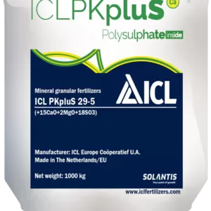 ICL PKpluS 29-5 (+2MgO+21CaO+18SO3) 