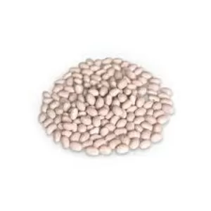 Насіння квасолі з гарантією викупу врожаю