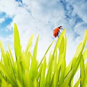 Разработка сайта любой сложности