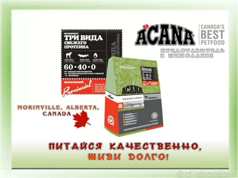 Сухие корма  Acana и Oridjen 3