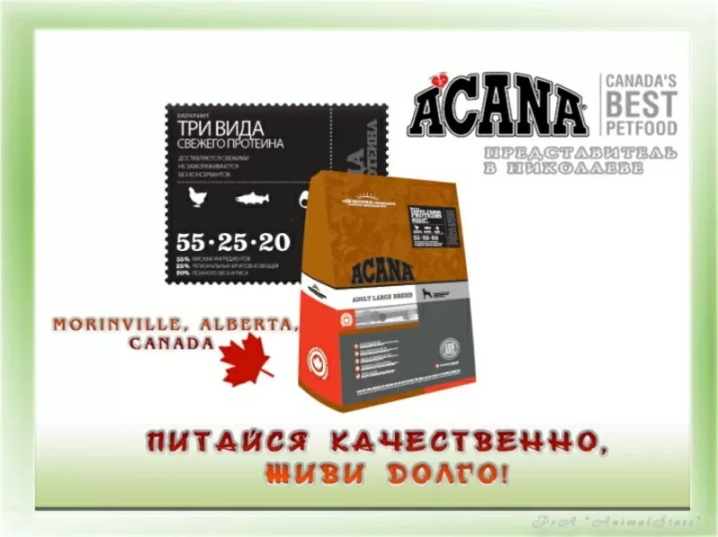 Сухие корма  Acana и Oridjen