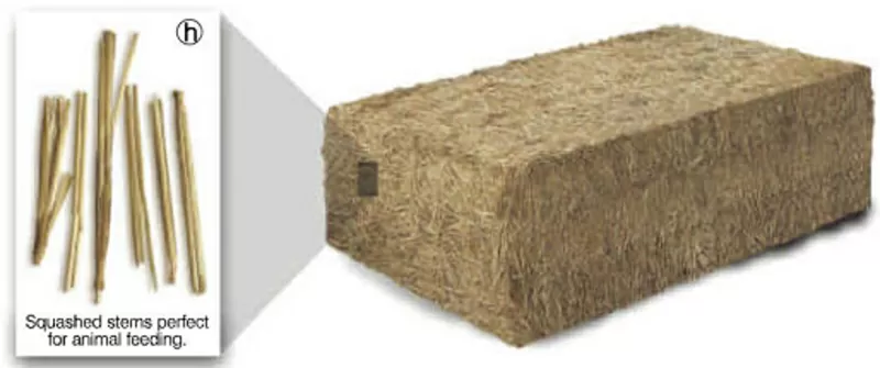 Пресс-подборщики Cicoria (маленькие тюки) 3