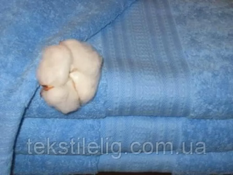 Махровые полотенца гладкокрашеные 40х80