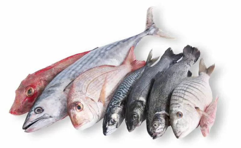 Продам рыбу и морепродукты оптом и в розницу 2