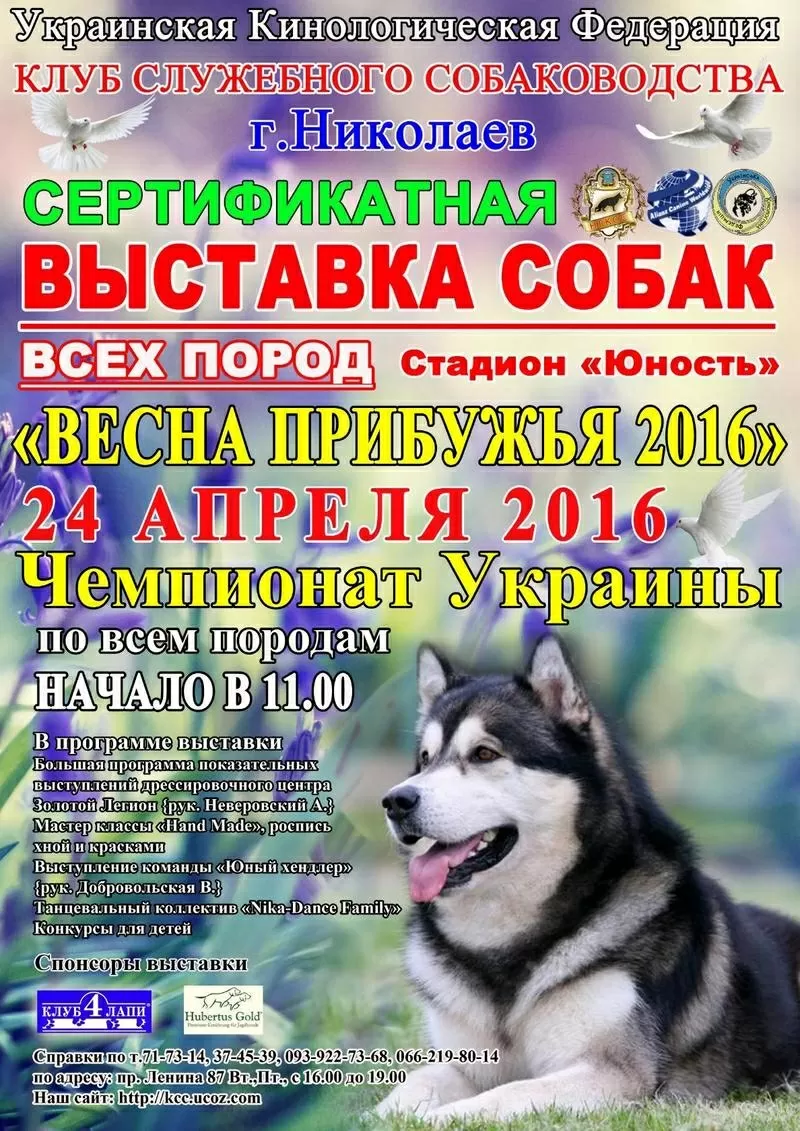 Выставка собак всех пород 