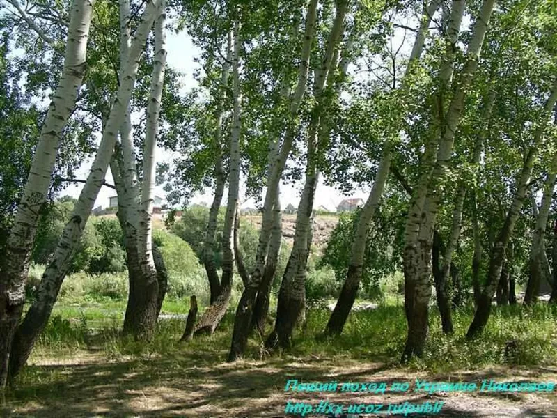 Отдых южный Буг пеший туризм. 5