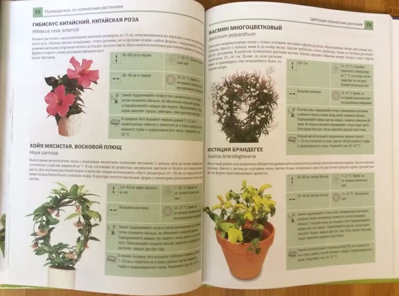 Книга:Новейшая энциклопедия комнатных растений Дэвид Сквайр  4