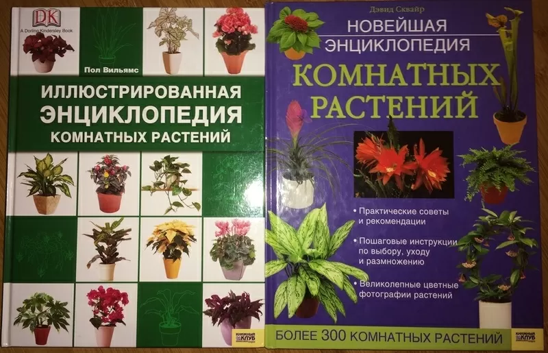 Книга:Новейшая энциклопедия комнатных растений Дэвид Сквайр  5