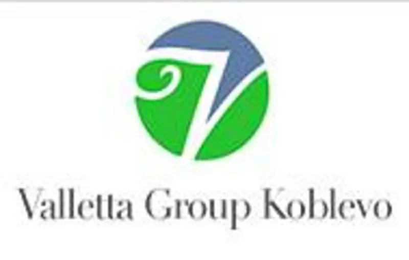 Valletta Group Koblevo