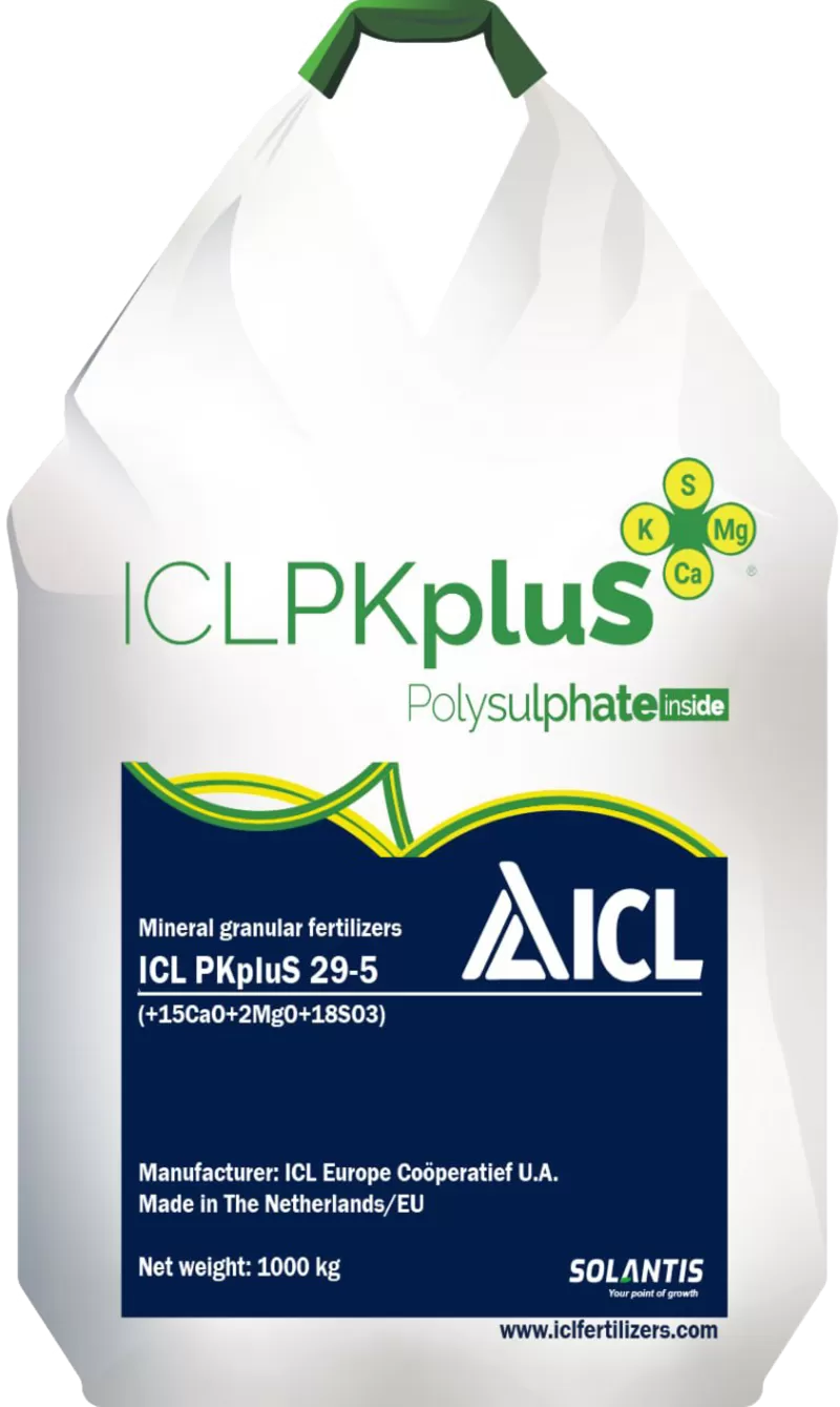 ICL PKpluS 29-5 (+2MgO+21CaO+18SO3) 